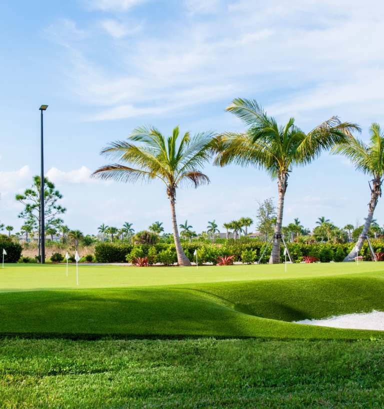 Del Webb Tradition - Community 4