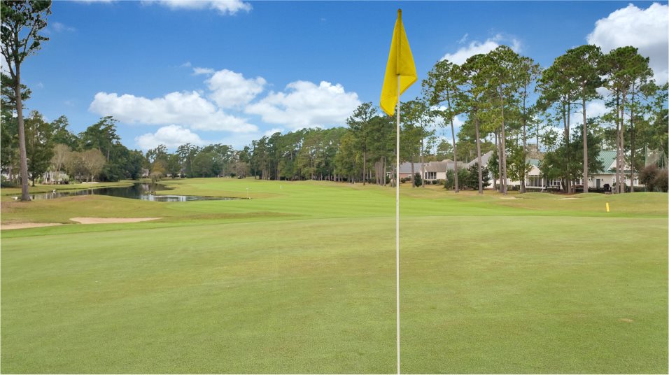 Altamira - Golf Course 2