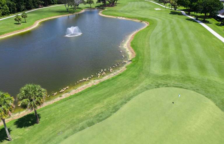 The Reserve at Eastpointe - Community Photo 2