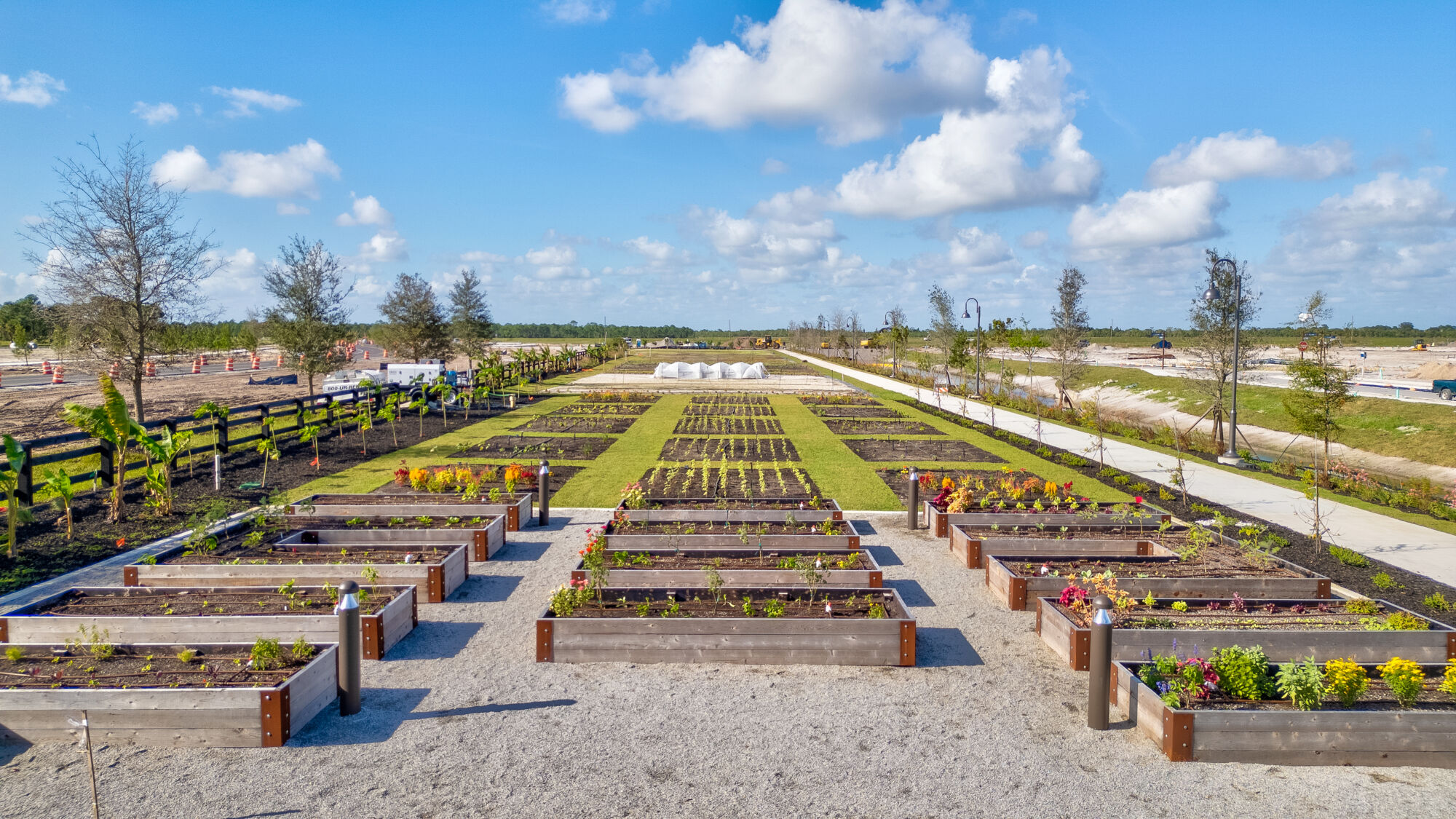 Rosette Park - The Farm 2