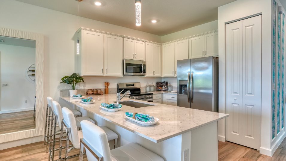 Orchid - Kitchen